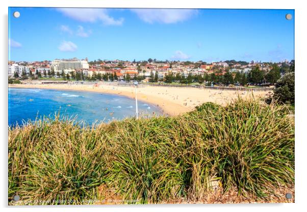 Bushes with Coogee beach Acrylic by Kevin Hellon