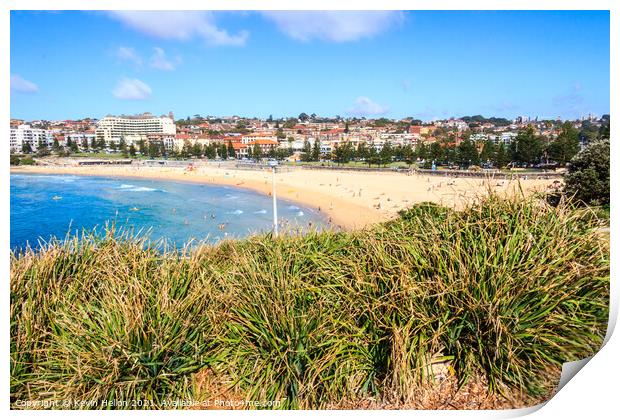 Bushes with Coogee beach Print by Kevin Hellon