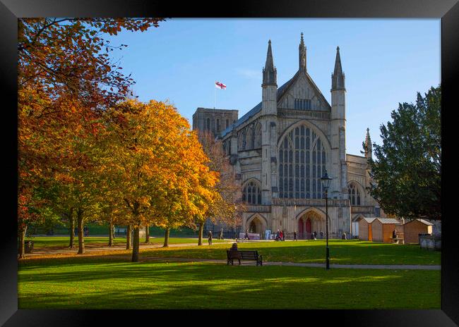 Winchester Cathedral in Autumn Framed Print by Philip Enticknap