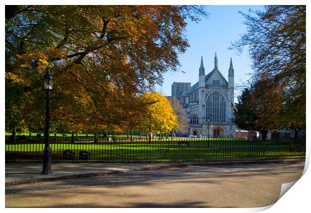 Winchester Cathedral in Autumn Print by Philip Enticknap