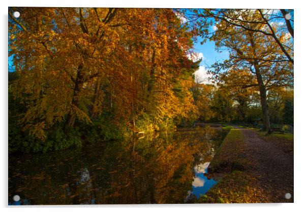 Basingstoke Canal in Autumn  Acrylic by Philip Enticknap