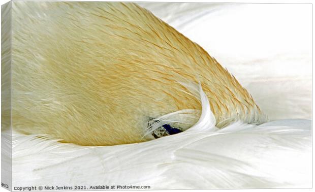 Mute Swan Fast Asleep by Cosmeston Lakes Canvas Print by Nick Jenkins