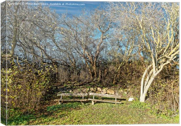 Worn out benches on the small island Nyord in the the archipelag Canvas Print by Frank Bach