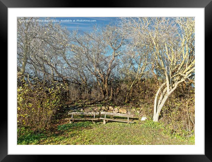 Worn out benches on the small island Nyord in the the archipelag Framed Mounted Print by Frank Bach