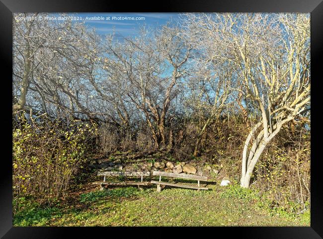 Worn out benches on the small island Nyord in the the archipelag Framed Print by Frank Bach