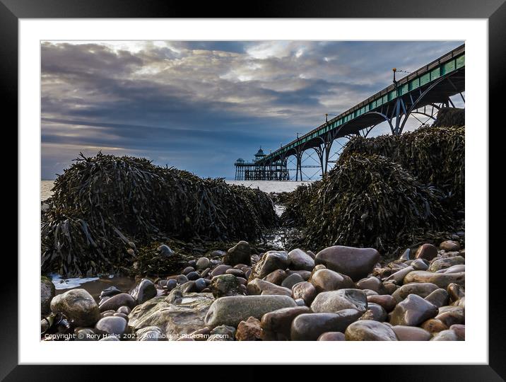 Clevedon Pier Seaweed Framed Mounted Print by Rory Hailes