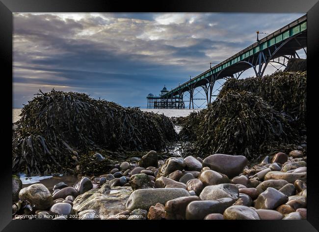 Clevedon Pier Seaweed Framed Print by Rory Hailes