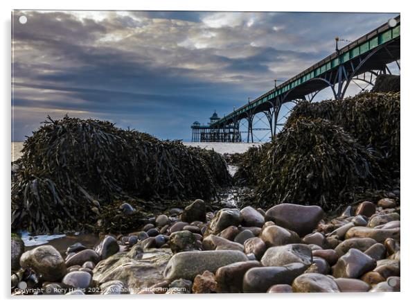 Clevedon Pier Seaweed Acrylic by Rory Hailes
