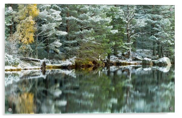 Loch Garten Winter Reflections Acrylic by David Ross