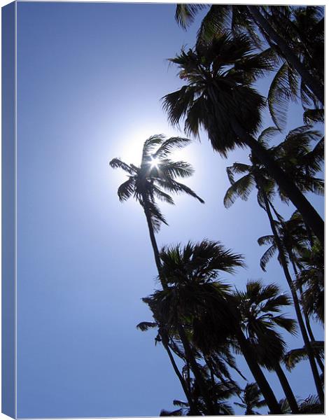 Punaluu Beach, Hawaii, Palm Trees Canvas Print by Jay Huckins