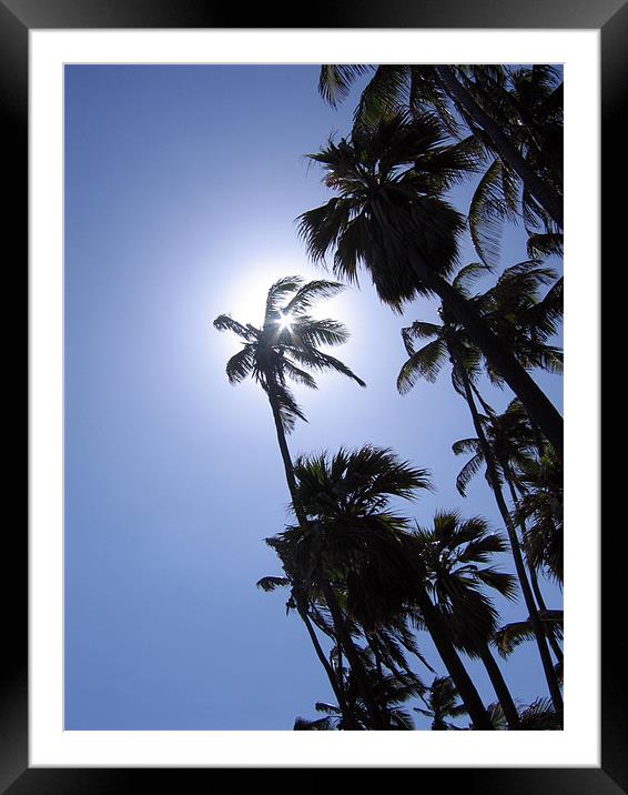 Punaluu Beach, Hawaii, Palm Trees Framed Mounted Print by Jay Huckins