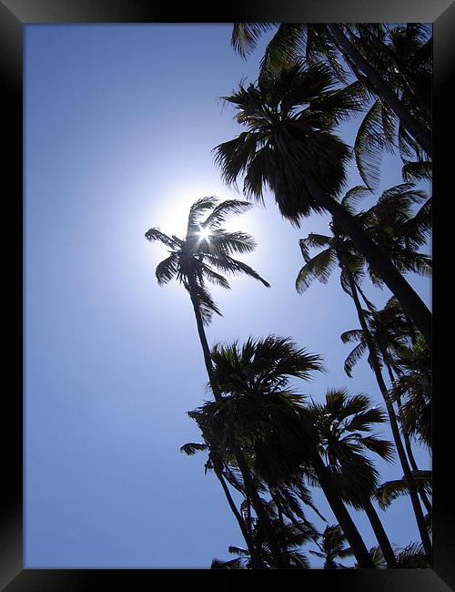 Punaluu Beach, Hawaii, Palm Trees Framed Print by Jay Huckins