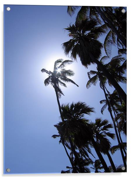 Punaluu Beach, Hawaii, Palm Trees Acrylic by Jay Huckins