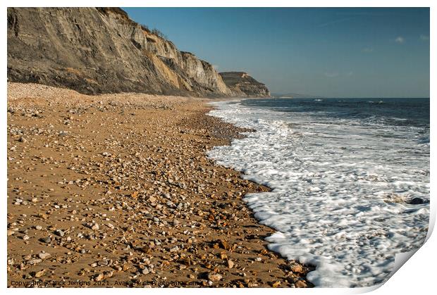 Charmouth East Beach on the Dorset Coast  Print by Nick Jenkins