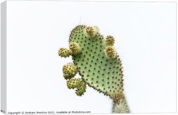 Prickly Pear Canvas Print by Graham Prentice
