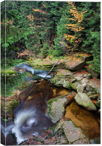 Stream in Mountain Forest Canvas Print by Artur Bogacki