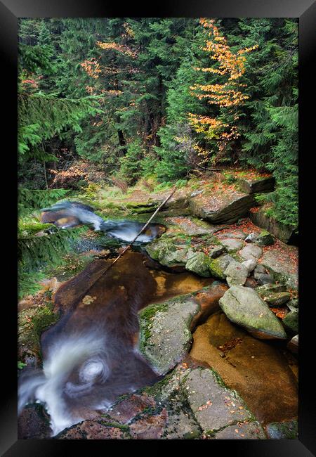 Stream in Mountain Forest Framed Print by Artur Bogacki