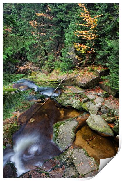 Stream in Mountain Forest Print by Artur Bogacki