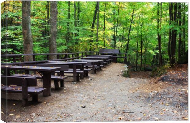 Picnic and Rest Tables and Benches in Forest Canvas Print by Artur Bogacki