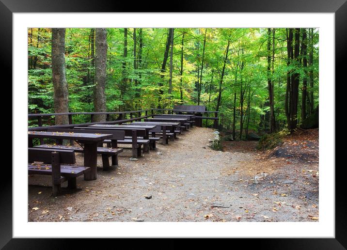 Picnic and Rest Tables and Benches in Forest Framed Mounted Print by Artur Bogacki