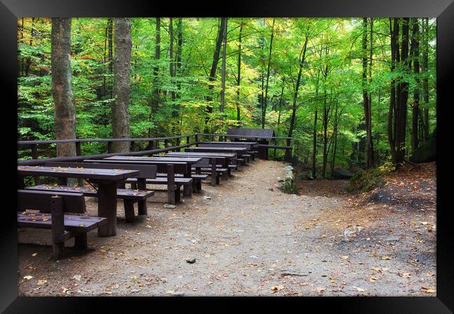 Picnic and Rest Tables and Benches in Forest Framed Print by Artur Bogacki