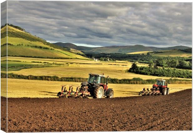 Ploughing in tandem Cheviot Hills. Canvas Print by mick vardy