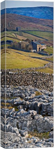 Fawcett Moor. Horton in Ribblesdale North Yorkshire. Canvas Print by Chris North