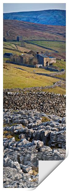 Fawcett Moor. Horton in Ribblesdale North Yorkshire. Print by Chris North