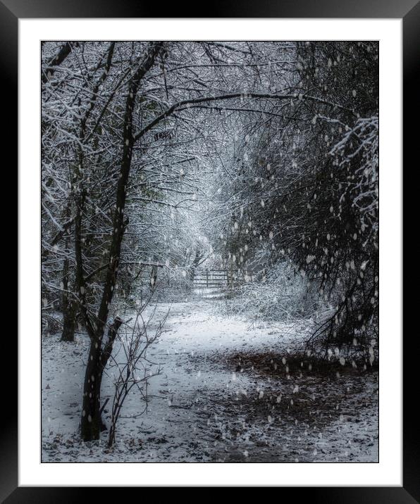 Snow is falling Framed Mounted Print by Darren Ball