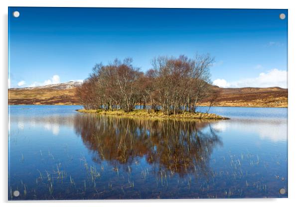 Loch Island Acrylic by David Hare
