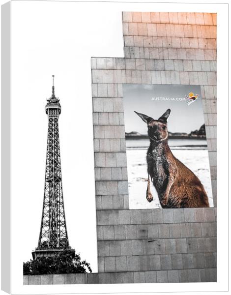 Kangaroo in Paris Canvas Print by John Hemming