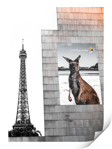 Kangaroo in Paris Print by John Hemming