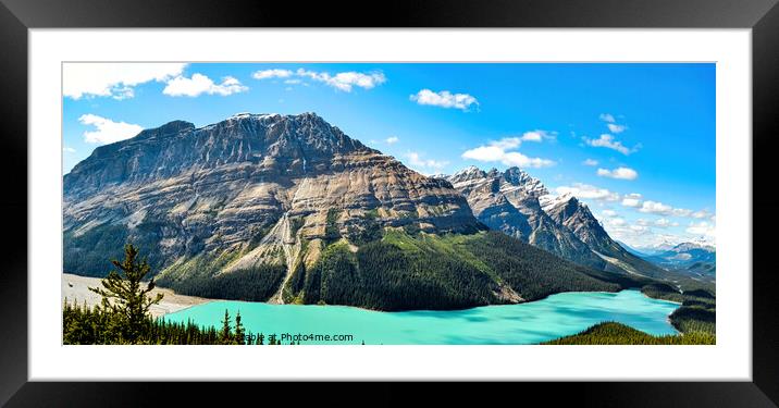 Peyto Lake Framed Mounted Print by Colin Chipp