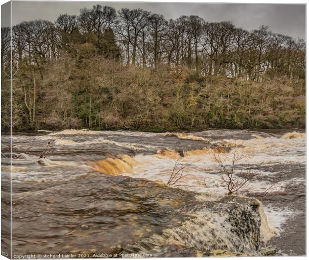 The River Tees in Spate at Whorlton Canvas Print by Richard Laidler