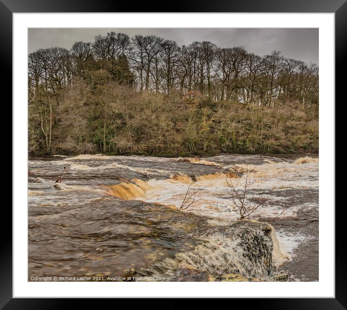 The River Tees in Spate at Whorlton Framed Mounted Print by Richard Laidler