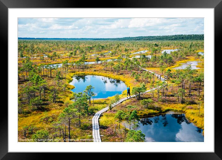 Kemeri National Park Bog trail Framed Mounted Print by Sanga Park