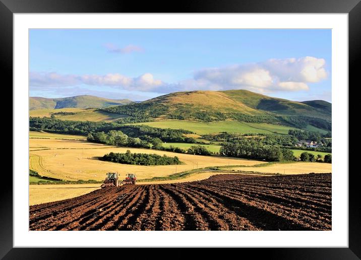 Ploughing in tandem Mindrum Cheviot Hills. Framed Mounted Print by mick vardy