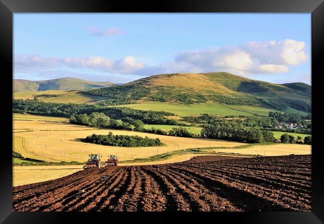 Ploughing in tandem Mindrum Cheviot Hills. Framed Print by mick vardy