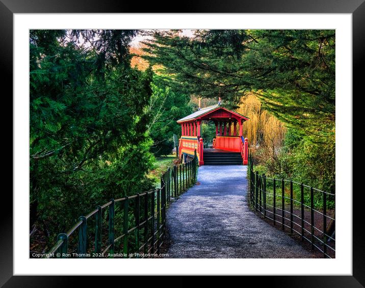 Pathway to the Swiss Bridge Framed Mounted Print by Ron Thomas
