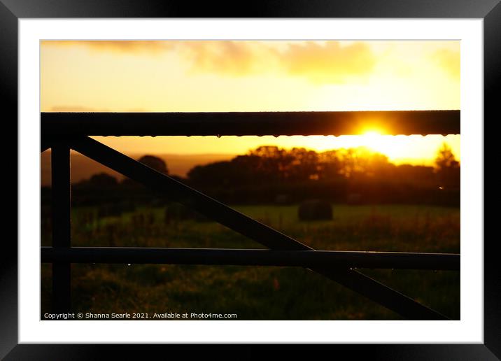 A cornish sunrise  Framed Mounted Print by The Travel Trap