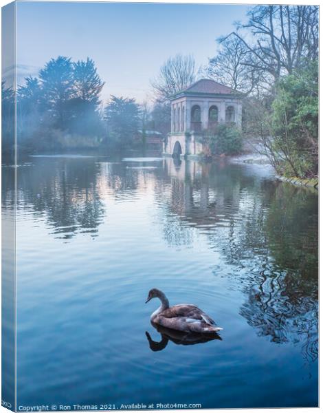 Swan in the Lake at Birkenhead Park Canvas Print by Ron Thomas