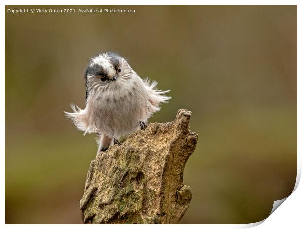 A windswept long tailed tit standing on a log Print by Vicky Outen