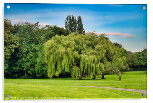 Willow Tree, Birkenhead Park Acrylic by Ron Thomas