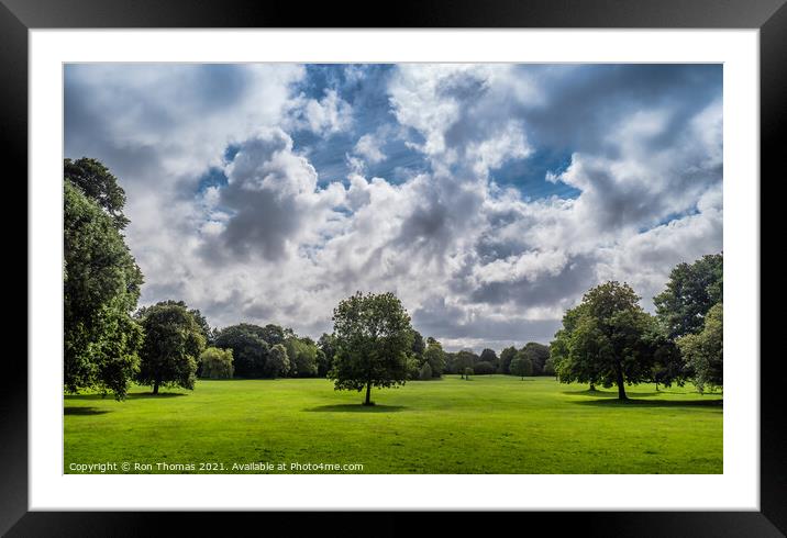 Trees in Birkenhead Park Framed Mounted Print by Ron Thomas
