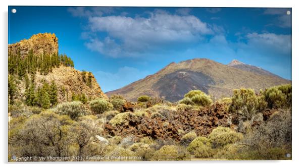 Mount Teide National Park Acrylic by Viv Thompson