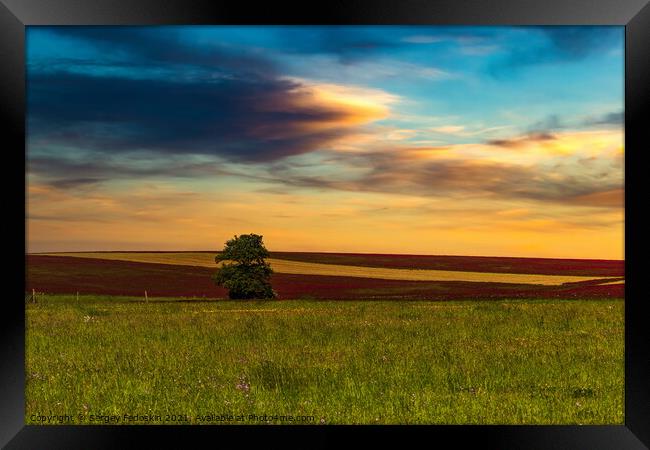 Clover field and sunset sky. Framed Print by Sergey Fedoskin