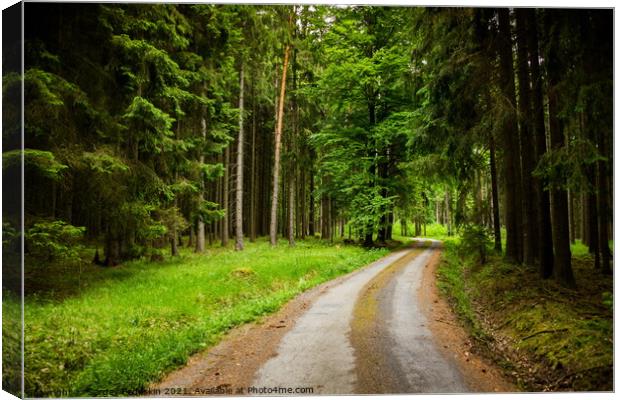 Forest road in a summer day Canvas Print by Sergey Fedoskin