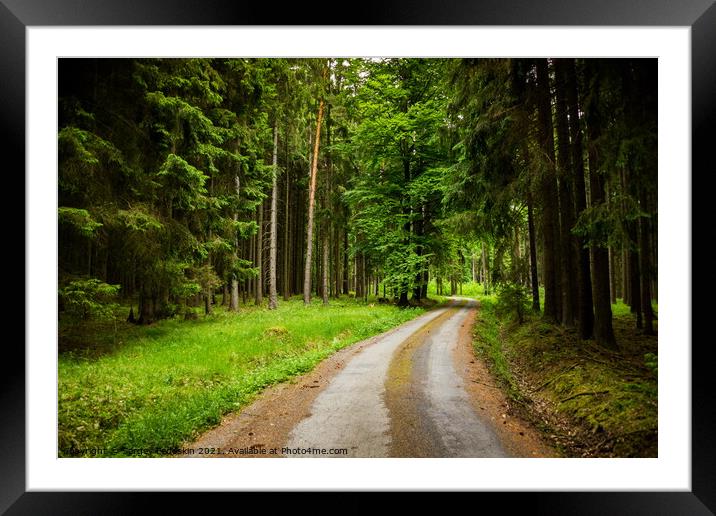 Forest road in a summer day Framed Mounted Print by Sergey Fedoskin