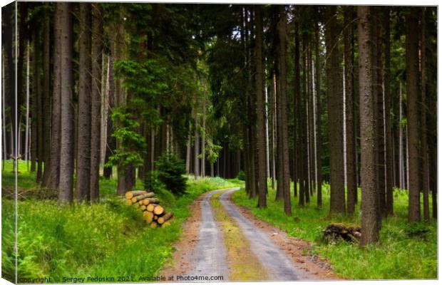 Forest road in a summer day Canvas Print by Sergey Fedoskin