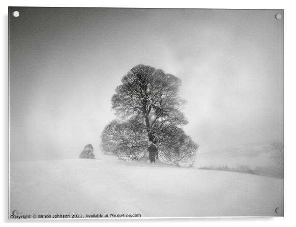 Winter trees and mist Acrylic by Simon Johnson